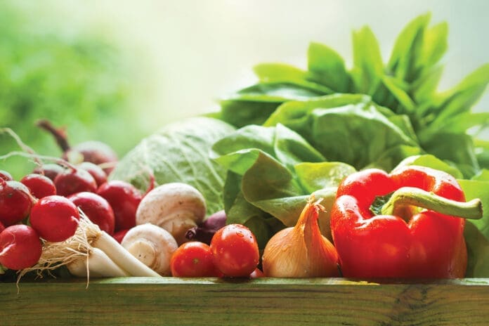 fresh organic vegetables fresh organic vegetables