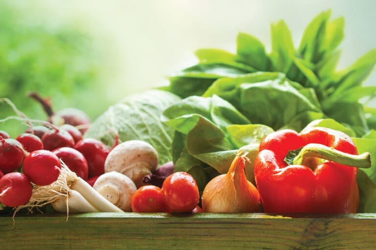 fresh organic vegetables