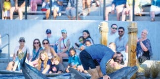 Gulfarium’s 2nd Annual CARE on the Coast Sea Turtle Fundraiser