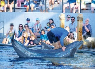 Gulfarium’s 2nd Annual CARE on the Coast Sea Turtle Fundraiser