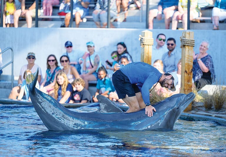 Gulfarium’s 2nd Annual CARE on the Coast Sea Turtle Fundraiser