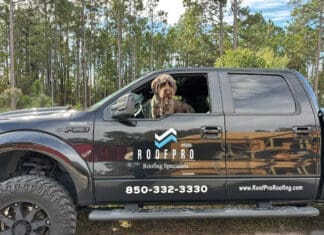 Roofpro dog