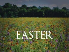 Sean of the South: What is Easter?