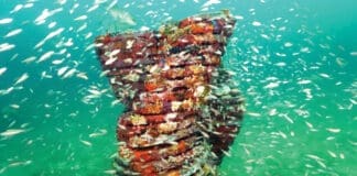 Underwater Museum of Art