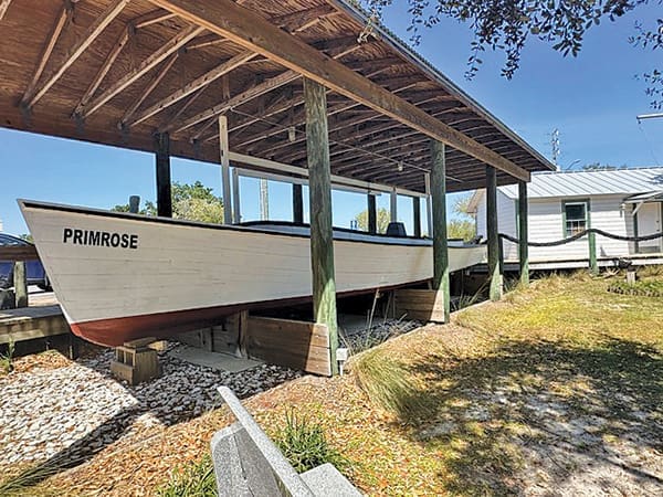 Primrose fishing boat
