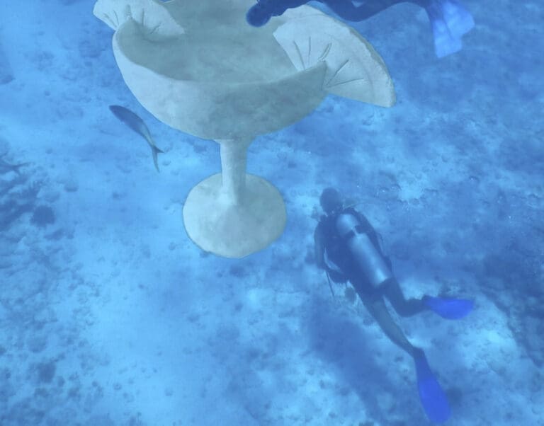 Diving the Expanded Underwater Museum