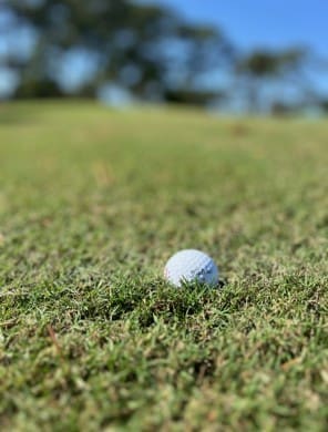 GOLF BALL