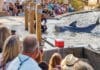 Gulfarium Dolphin Show 2025 Aug