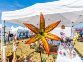 161030 MKAF Festival of the Arts 019 3000