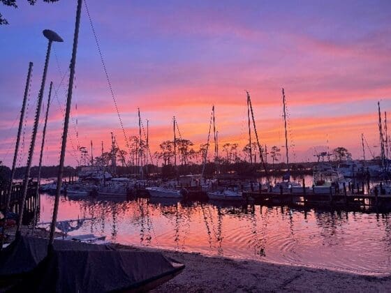 Bluewater Bay Marina 8981