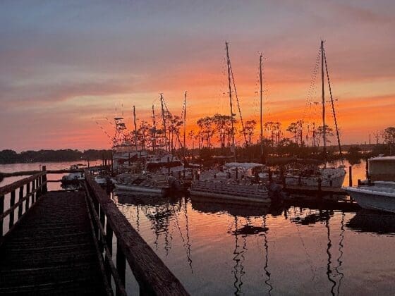 Bluewater Bay Marina 8988