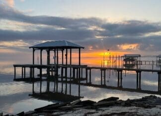 Choctawhatchee Basin Alliance Celebrates 2025 Amateur Photo Contest Winners Jennifer Chapple 3