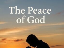 20251115 PP Nov 2025 (sunset)