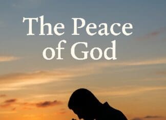 20251115 PP Nov 2025 (sunset)