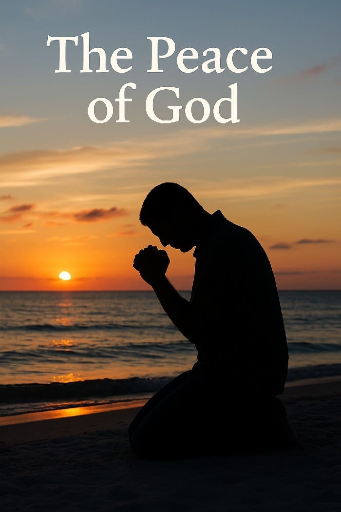 20251115 PP Nov 2025 (sunset)