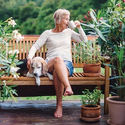 Coffee Dogs Coffee Dogs