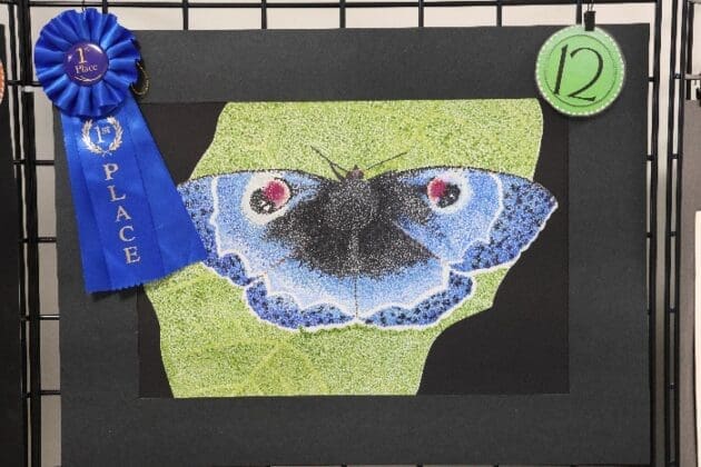 Art in the Capitol 1 Place