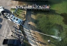 25,000 Juvenile Redfish Released into Cinco Bayou to Boost Local Fisheries Redfish1