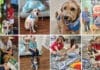Dog Harmony Collage