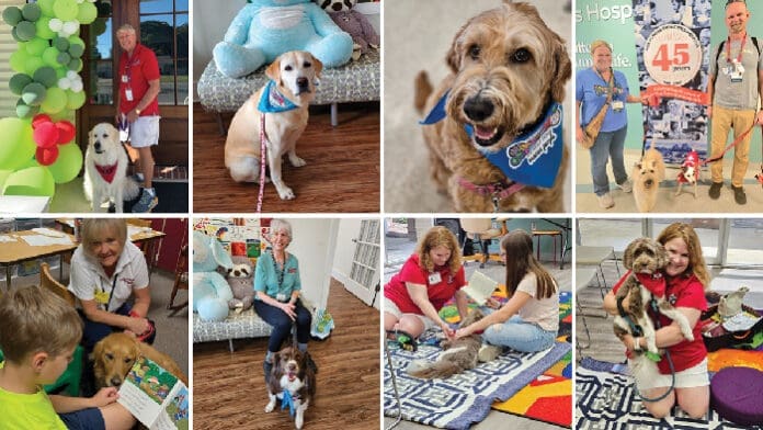 Dog Harmony Collage