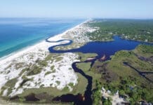 Grayton Beach State Park (1)