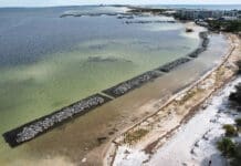 Living Shoreline Enhances Choctawhatchee Bay Livingshoreline1