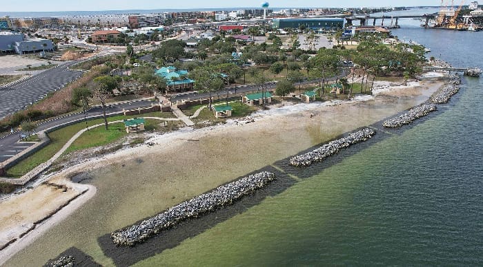 Livingshoreline2 Livingshoreline2