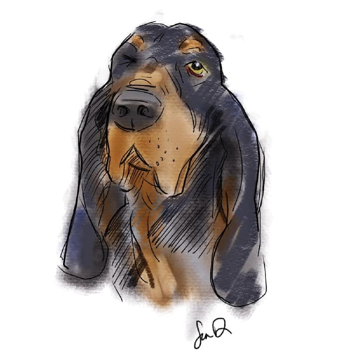 Sean Dietrich Dogs Sean Dietrich Dogs