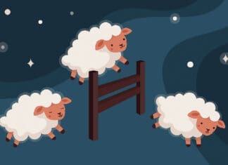 Stop Counting Sheep Chern sheep count iStock 1271805626