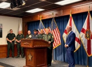 Ingoglia Brings Action 2972