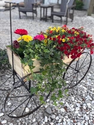 sidebar photo IMG 1103