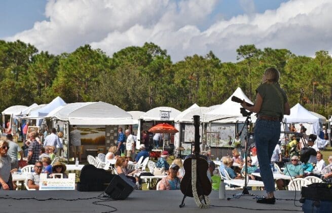 Arts Fest Festival of the Arts