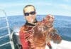 Lionfish Alex Fogg