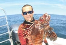 Lionfish Alex Fogg