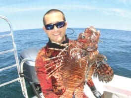 Lionfish Alex Fogg