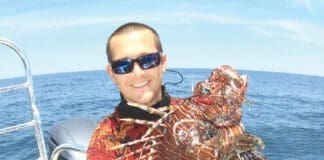 Lionfish Alex Fogg
