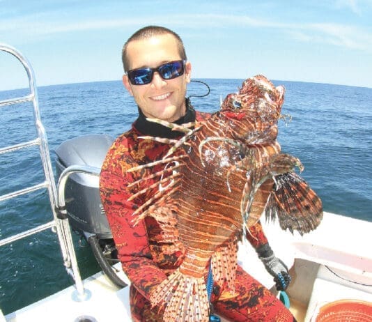 Lionfish Alex Fogg
