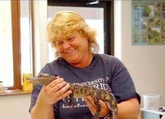 New Extension Dunning shares a smile with an alligator