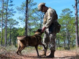 Paws that Protect 240130 F QE874 1186