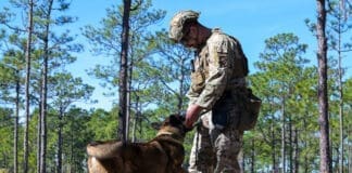 Paws that Protect 240130 F QE874 1186