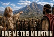 20260515 Give me this Mountain horizontal
