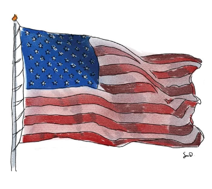 Sean Dietrich Flag