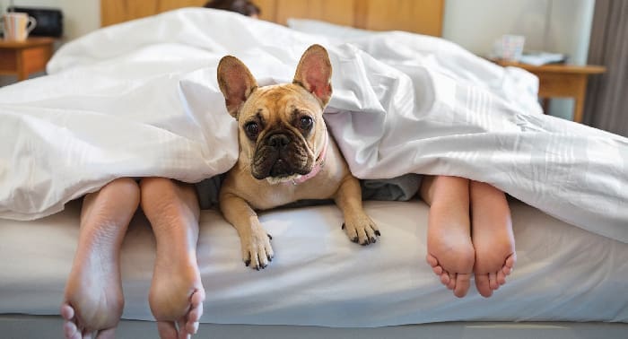 Sleep iStock 166272951